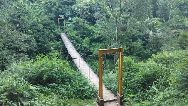 Pesona Rimba Raya Djuanda: Oase Hijau di Jantung Bandung