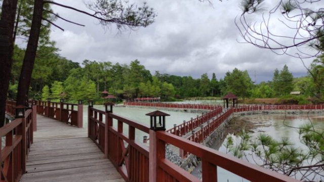 Eksotisme Rimba Rekreasi Lahendong: Surga Hijau di Tomohon Sulawesi Utara